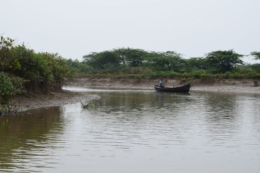 Bichitrapur Mangrove Sanctuary-2